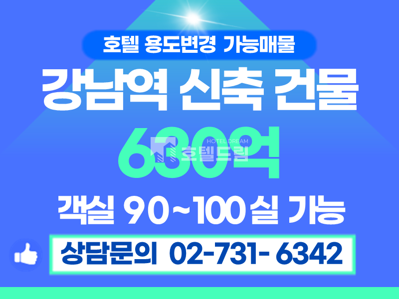 서울 강남구 역삼동 [강남역 초역세권 호텔 용도변경 가능한 신축건물] 매매 매물번호 12746 사진 1