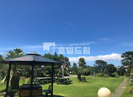 제주 서귀포시 성산읍 신풍리 제주도펜션매매 제2공항 수혜 지역 독채 펜션 매매 매매 매물번호 10877 사진 1