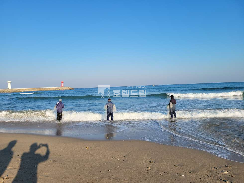제주 서귀포시 보목동 제주호텔&카페 매매, 매출11,000만!!! 매매 매물번호 11711 사진 1