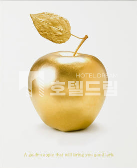 서울 중구 광희동1가 서울 중구 호텔허가 부지매매 매매 매물번호 11740 사진 1