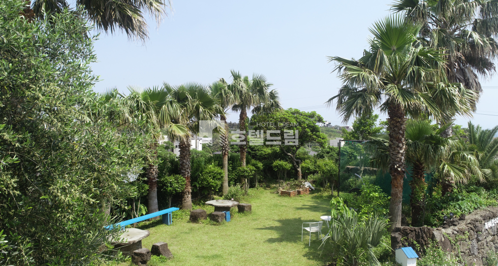 제주 서귀포시 안덕면 창천리 제주도 서귀포시 풀빌라펜션 매매 매매 매물번호 11967 사진 1