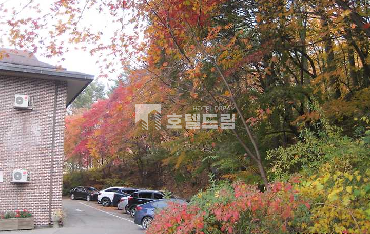 경기 광주시 퇴촌면 도수리 퇴촌전원모텔매매, 광주소형모텔급매25억=>21억 매매 매물번호 11812 사진 5